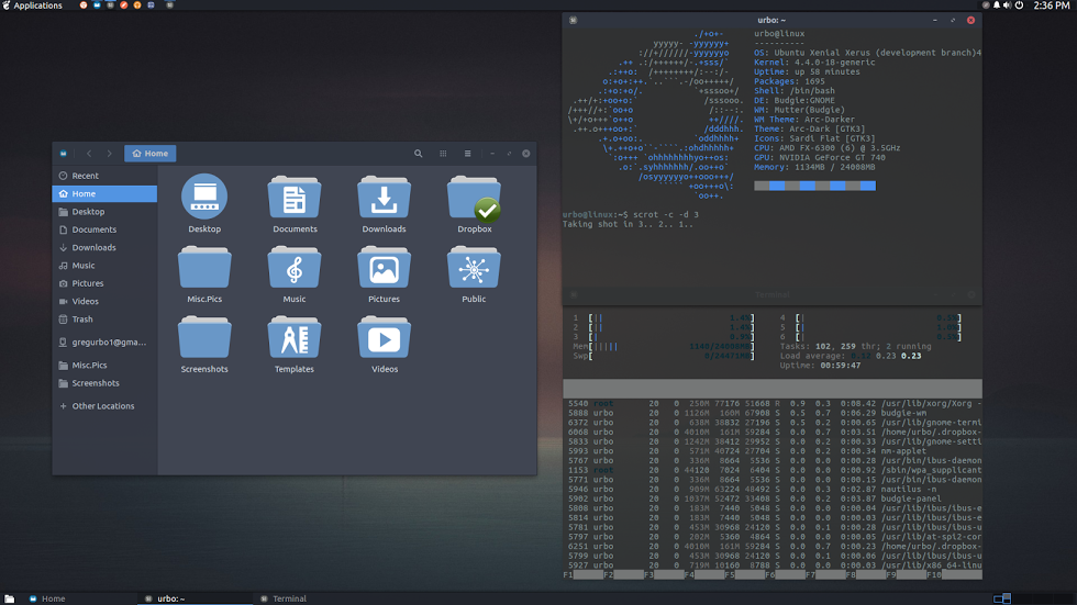 Rilasciata Budgie-Remix 16.04