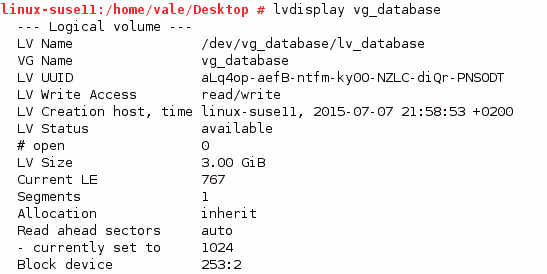 Logical Volume Manager