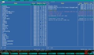 I migliori strumenti per gestire i file in Linux