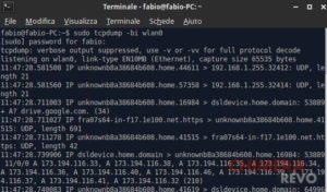 Come controllare la rete da terminale con Linux