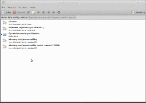 Dual boot Ubuntu 16.04 & Windows 10: far convivere i due sistemi operativi senza troppi problemi e stare senza pensieri