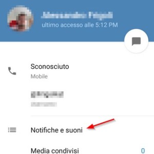 Telegram: trucchi e opzioni da conoscere