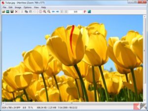 Le migliori alternative a Microsoft Paint