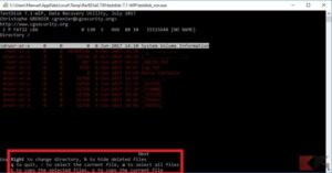 Recuperare foto cancellate da microSD
