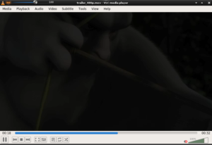 Disponibile Enlightenment 0.22
