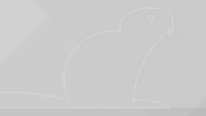 Svelato il nuovo wallpaper di Ubuntu 18.04 LTS Bionic Beaver