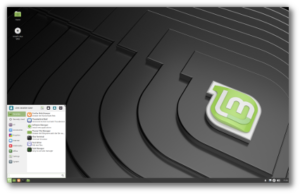 Linux Mint 19 “Tara”: Arriva la Beta per Cinnamon, MATE e Xfce