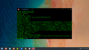 Deepin Linux ha un problema con la sicurezza dei browser