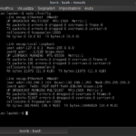 [Guida] Dnsmasq: condividere la connessione via ethernet