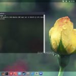 Canonical sistema vulnerabilità del kernel Linux