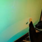 XFCE: la segnalazione di bug più divertente che sia stata mai scritta!
