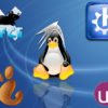 GUI di Elementary OS su Ubuntu e derivate