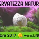 Linux Day 2017: "Riservatezza naturale"
