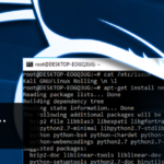 Kali Linux sbarca su Windows App Store