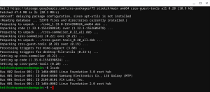 Chrome OS 75: USB support per le nostre Linux apps