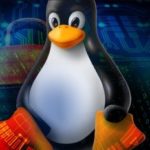Il futuro della distribuzione software su Linux?