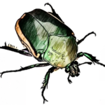 Grave bug nei driver Realtek per il WiFi di Linux, ma le patch potrebbero tardare