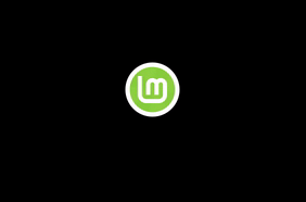 Linux Mint 19.3 "Tricia" uscirà prima di Natale con tante novità