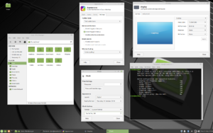 Linux Mint 19.3 "Tricia" uscirà prima di Natale con tante novità