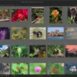 Darktable 3.0: interfaccia rivisitata e tante altre novità