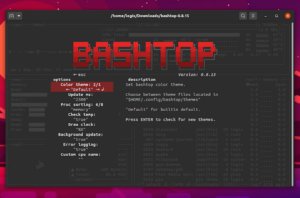 Bashtop: Resource Monitor per Linux scritto in Bash