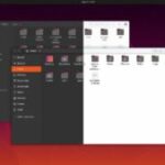 Ubuntu 20.04 Focal Fossa: alla scoperta della nuova LTS di Canonical