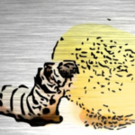 BootHole, la vulnerabilità che impatta Secure Boot (e GRUB2)