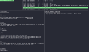 GNU/Linux, Vuls: tool per la scansione e l’analisi delle vulnerabilità