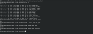[Guida] Sysadmin GNU/Linux : cos’è l’I/O scheduler