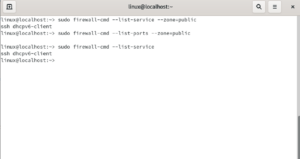 [Guida] Introduzione alla gestione di firewalld su GNU/Linux