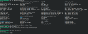[Guida] Kernel Linux: come gestirne i parametri con sysctl