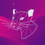 Canonical, era ora: Ubuntu 18.04 consente l’upgrade a Ubuntu 20.04 LTS
