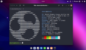 Ubuntu 20.10 Groovy: disponibili tutti i flavors ufficiali