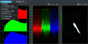 Parliamo di Cinelerra-GG Infinity