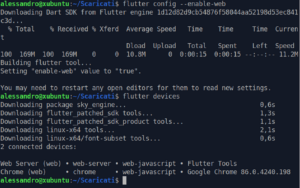 [Guida] Utilizzare Nginx per l’hosting di una Flutter web app