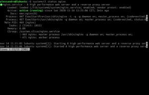 [Guida] Utilizzare Nginx per l’hosting di una Flutter web app