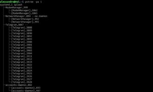 [Guida] GNU/Linux: come muovere i primi passi in un server