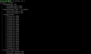 [Guida] GNU/Linux: come muovere i primi passi in un server
