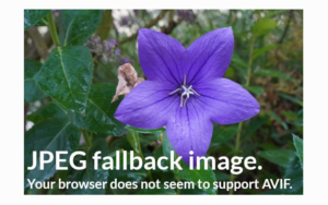 Mozilla Firefox 86: finalmente arriva il supporto per AVIF!