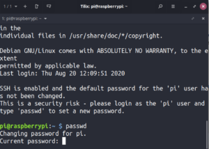 [Guida] Raspberry Pi: configurare da zero un file server Samba headless
