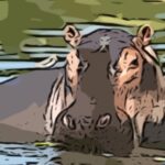 Ubuntu 21.04 Hirsute Hippo