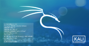 Kali Linux 2021.1, ufficiale il primo major update del 2021