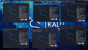 Kali Linux 2021.1, ufficiale il primo major update del 2021