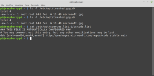 Raspberry Pi OS, aggiornamento installa repo Microsoft: ecco come eliminarlo