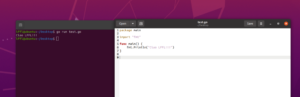 [GUIDA] Ecco come installare Go (Golang) su Ubuntu Linux
