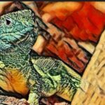 OpenSUSE Leap sarà identica a SLES, la sua controparte a pagamento. Che deja-vu pensando a CentOS / ...