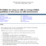 IBM Cobol for Linux: è ufficiale il nuovo compilatore per x86