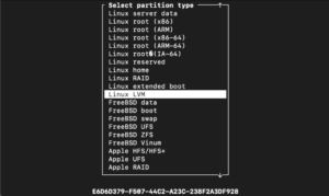 Il NAS definitivo con Debian e Nextcloud (parte 2 configurazione LVM con cache)