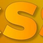 Impara il CSS con Google