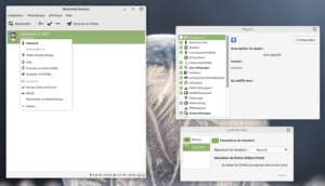 Notizie da Linux Mint: Timeshift diventa una XApp e Blueman sostituisce Blueberry